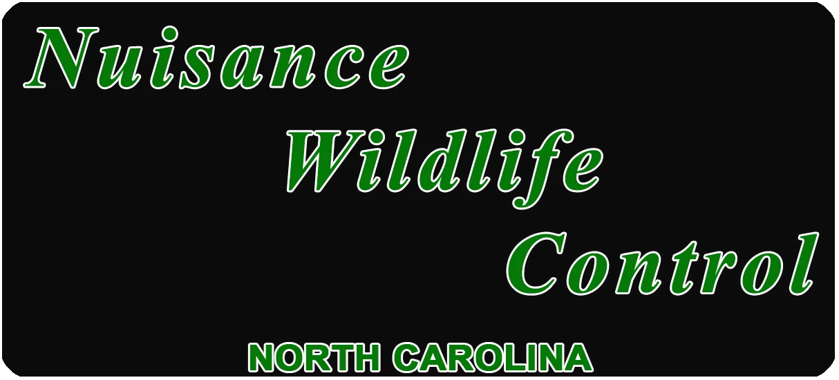 Nuisance Wildlife NC