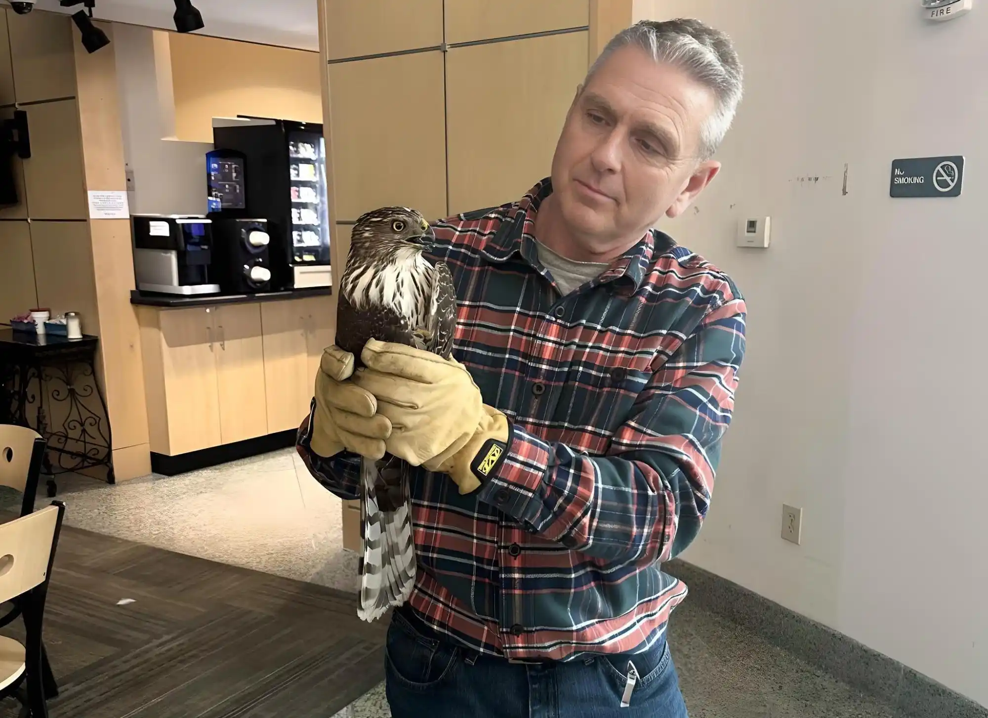 Does Homeowner's Insurance Cover Wildlife Damage?